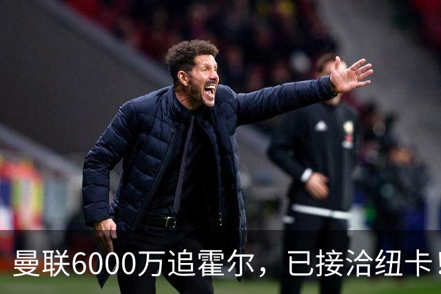 曼联6000万追霍尔，已接洽纽卡！还有仅1400万的替代候选